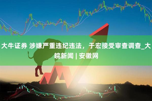 大牛证券 涉嫌严重违纪违法，于宏接受审查调查_大皖新闻 | 安徽网