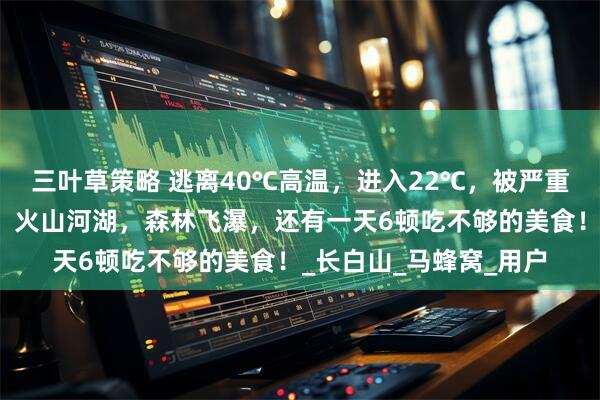 三叶草策略 逃离40℃高温，进入22℃，被严重忽视的「清凉秘境」！火山河湖，森林飞瀑，还有一天6顿吃不够的美食！_长白山_马蜂窝_用户