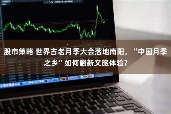 股市策略 世界古老月季大会落地南阳，“中国月季之乡”如何翻新文旅体验？